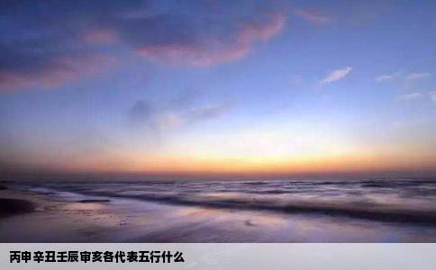 丙申辛丑壬辰审亥各代表五行什么