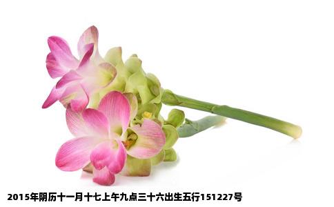 2015年阴历十一月十七上午九点三十六出生五行151227号