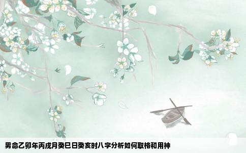 男命乙卯年丙戌月癸巳日癸亥时八字分析如何取格和用神