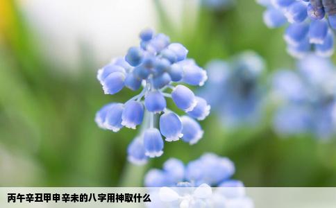 丙午辛丑甲申辛未的八字用神取什么