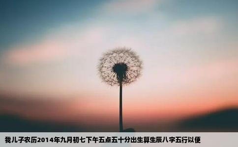 我儿子农历2014年九月初七下午五点五十分出生算生辰八字五行以便