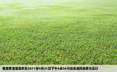 我家男宝宝是农历2011年9月21日下午4点36分出生请问生辰与五行