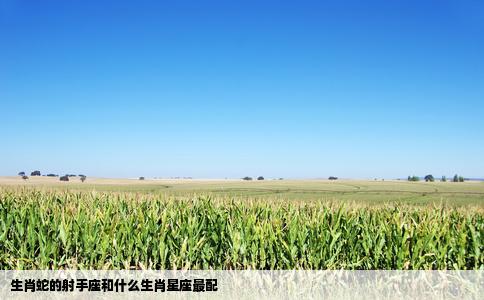 生肖蛇的射手座和什么生肖星座最配