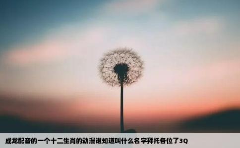 成龙配音的一个十二生肖的动漫谁知道叫什么名字拜托各位了3Q