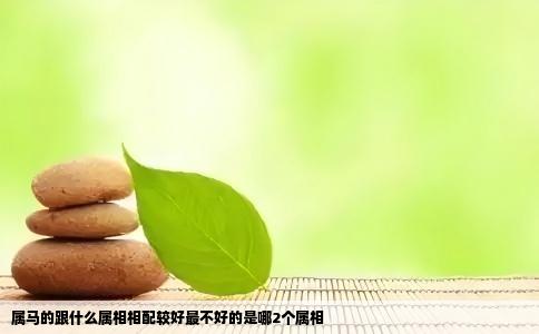 属马的跟什么属相相配较好最不好的是哪2个属相