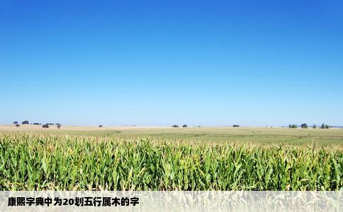 康熙字典中为20划五行属木的字