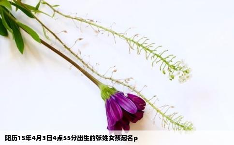 阳历15年4月3日4点55分出生的张姓女孩起名p