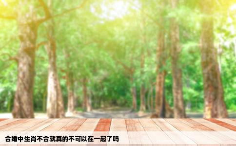 合婚中生肖不合就真的不可以在一起了吗