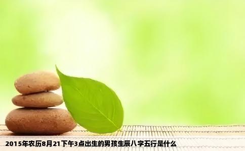 2015年农历8月21下午3点出生的男孩生辰八字五行是什么