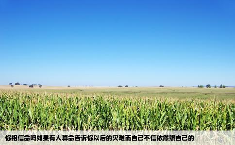 你相信命吗如果有人算命告诉你以后的灾难而自己不信依然照自己的