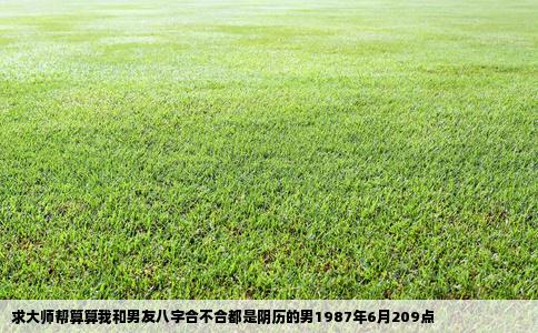 求大师帮算算我和男友八字合不合都是阴历的男1987年6月209点