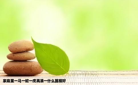 家庭里一马一蛇一虎再添一什么属相好