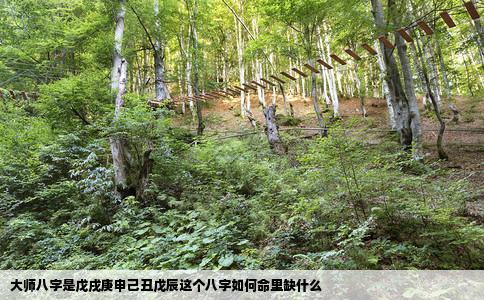 大师八字是戊戌庚申己丑戊辰这个八字如何命里缺什么
