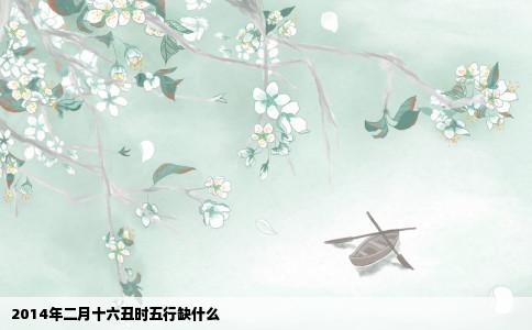 2014年二月十六丑时五行缺什么