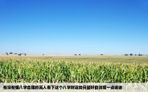 有没有懂八字命理的高人看下这个八字财运如何最好能详细一点谢谢