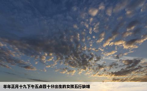 羊年正月十九下午五点四十分出生的女孩五行缺啥