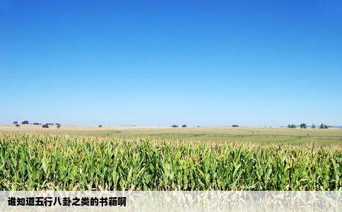 谁知道五行八卦之类的书籍啊