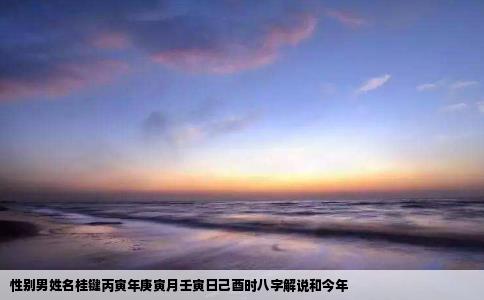 性别男姓名桂键丙寅年庚寅月壬寅日己酉时八字解说和今年