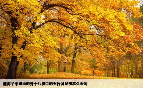 渊海子平里面的外十八格中的五行俱足格怎么看啊