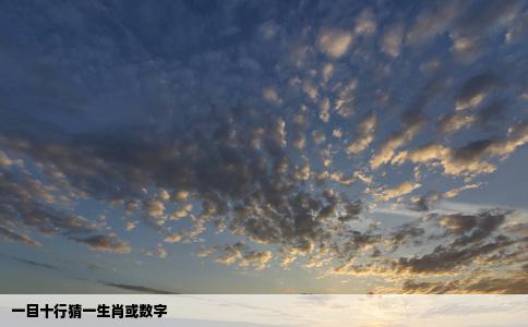 一目十行猜一生肖或数字