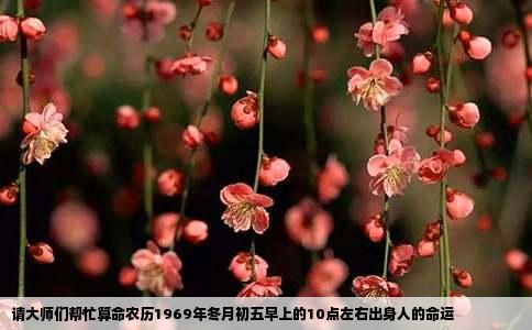 请大师们帮忙算命农历1969年冬月初五早上的10点左右出身人的命运