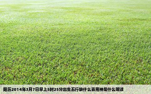 阳历2014年3月7日早上5时25分出生五行缺什么喜用神是什么呢该