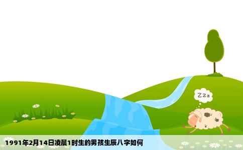 1991年2月14日凌晨1时生的男孩生辰八字如何