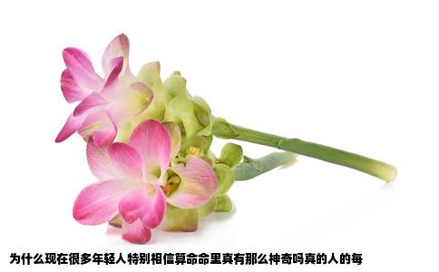 为什么现在很多年轻人特别相信算命命里真有那么神奇吗真的人的每