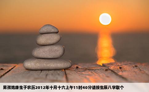男孩姓唐生于农历2012年十月十六上午11时40分请按生辰八字取个
