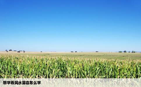 想学看风水算命怎么学