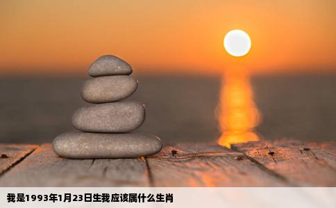 我是1993年1月23日生我应该属什么生肖