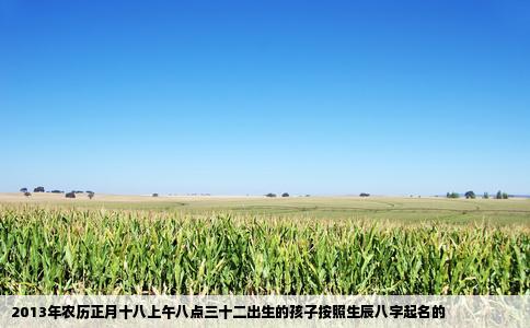 2013年农历正月十八上午八点三十二出生的孩子按照生辰八字起名的