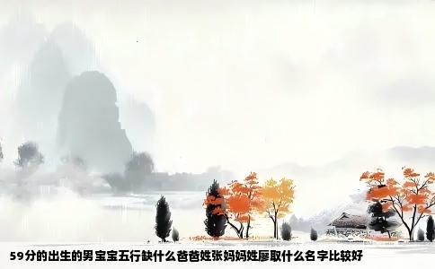 59分的出生的男宝宝五行缺什么爸爸姓张妈妈姓廖取什么名字比较好
