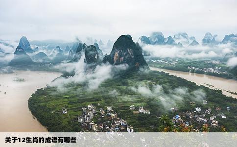 关于12生肖的成语有哪些