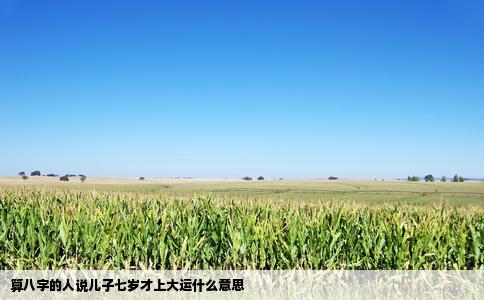 算八字的人说儿子七岁才上大运什么意思