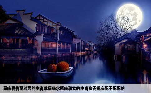 星座爱情配对男的生肖羊星座水瓶座和女的生肖猪天蝎座配不配配的