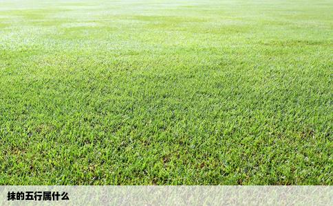 抹的五行属什么