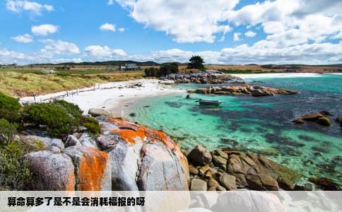 算命算多了是不是会消耗福报的呀