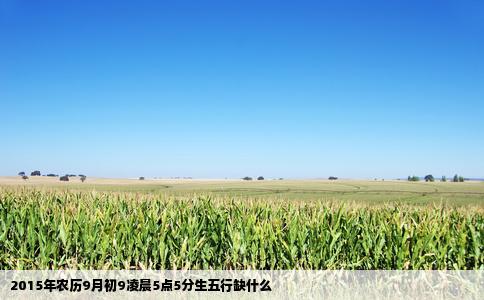 2015年农历9月初9凌晨5点5分生五行缺什么