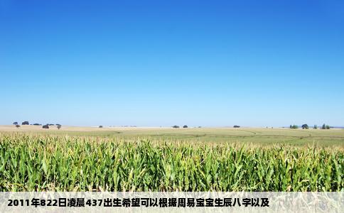 2011年822日凌晨437出生希望可以根据周易宝宝生辰八字以及