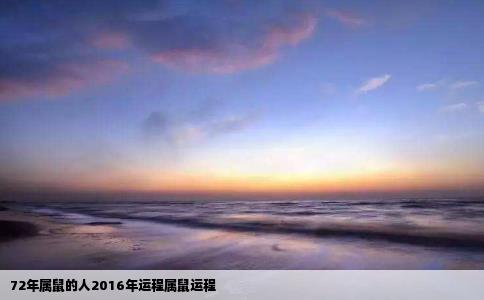 72年属鼠的人2016年运程属鼠运程