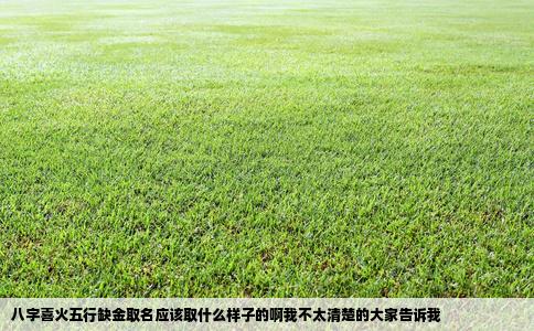 八字喜火五行缺金取名应该取什么样子的啊我不太清楚的大家告诉我