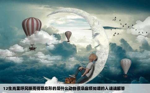12生肖里呼风唤雨得意忘形的是什么动物很急麻烦知道的人速速解答