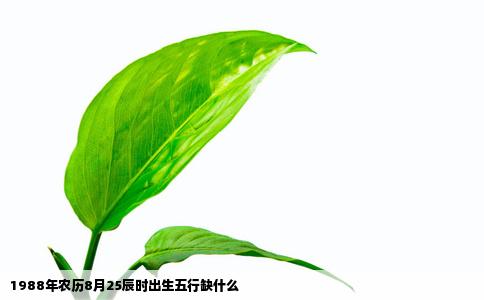1988年农历8月25辰时出生五行缺什么