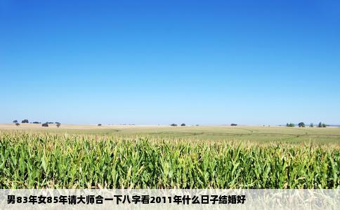 男83年女85年请大师合一下八字看2011年什么日子结婚好