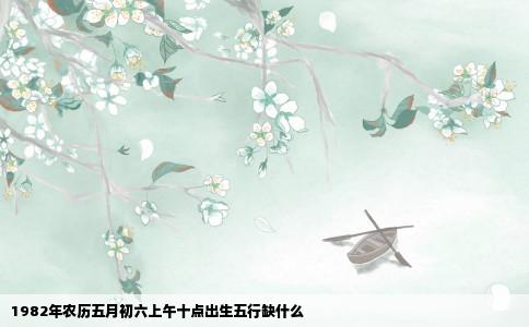 1982年农历五月初六上午十点出生五行缺什么