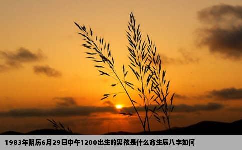 1983年阴历6月29日中午1200出生的男孩是什么命生辰八字如何