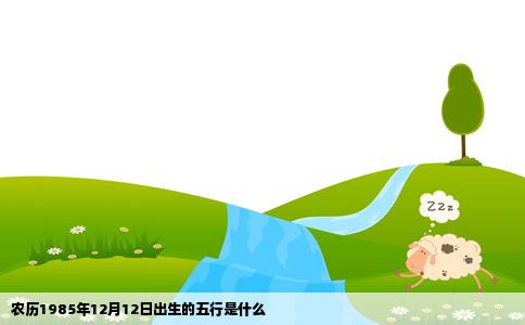农历1985年12月12日出生的五行是什么