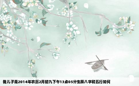 我儿子是2014年农历2月初九下午13点05分生辰八字和五行如何