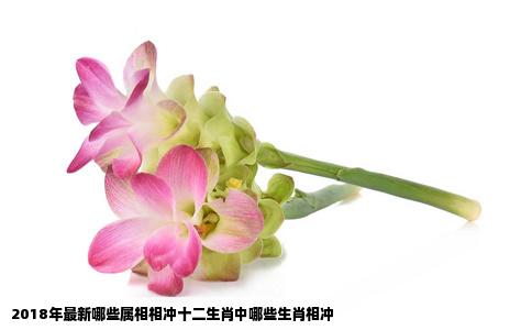 2018年最新哪些属相相冲十二生肖中哪些生肖相冲